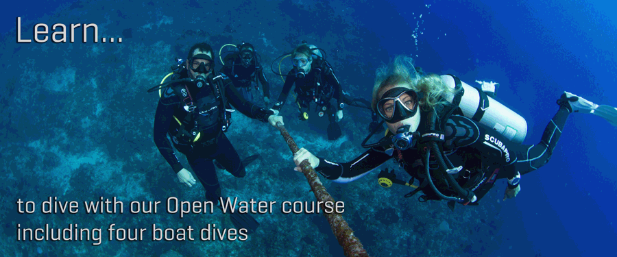 PADI learn to dive lessons