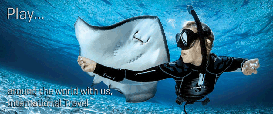 Dive Travel