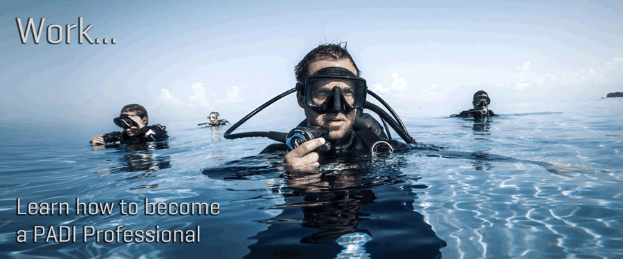 Brisbane Scuba Diving Courses