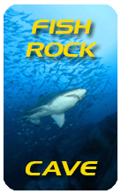 A long weekend of diving at Fish Rock Caves