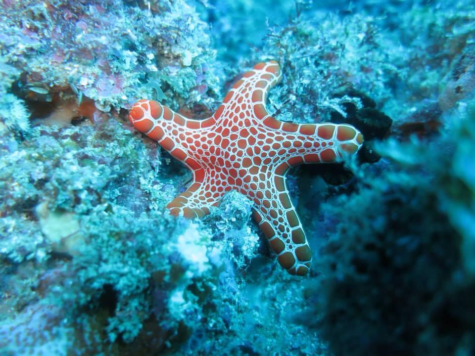 Photo by Emma Simkin