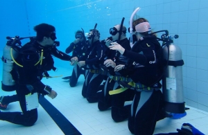 Start Here with The PADI Open Water Course